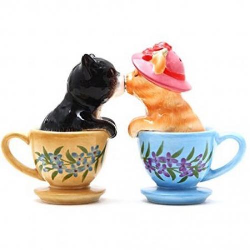 ATTRACTIVES--- Magnetic Salt and Pepper Shakers, Tea Cup Kittens