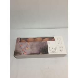 10ct Incandescent Mini Lights with Globes Hoods Tan - Black Wire - Project 62
