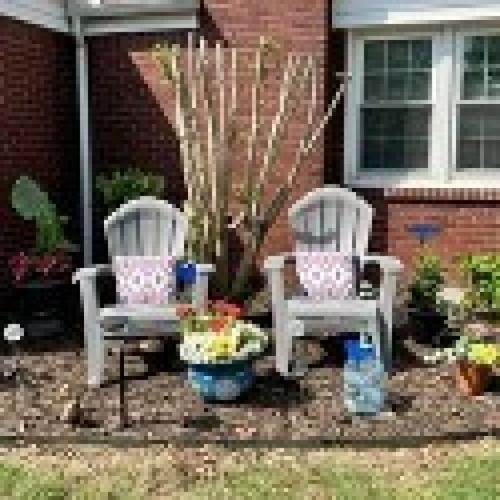 Single Adirondack Chair
