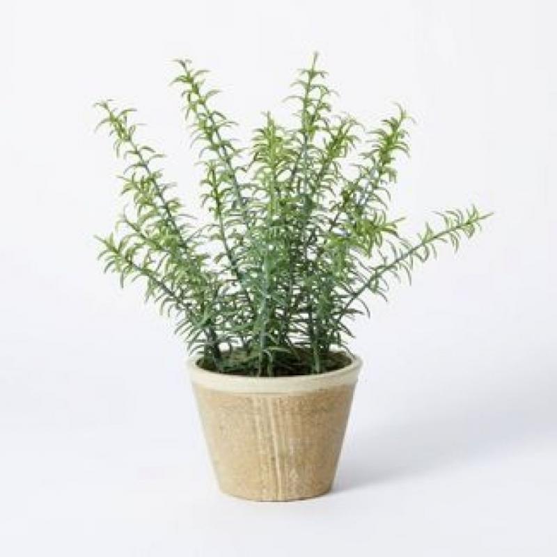 Potted Rosemary - Threshold™ Designed With Studio Mcgee