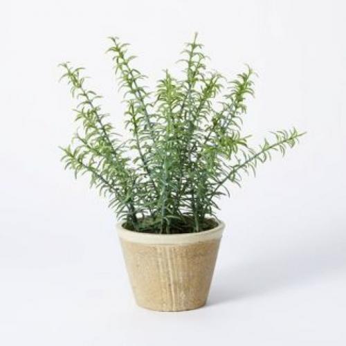 Potted Rosemary - Threshold™ Designed With Studio Mcgee -