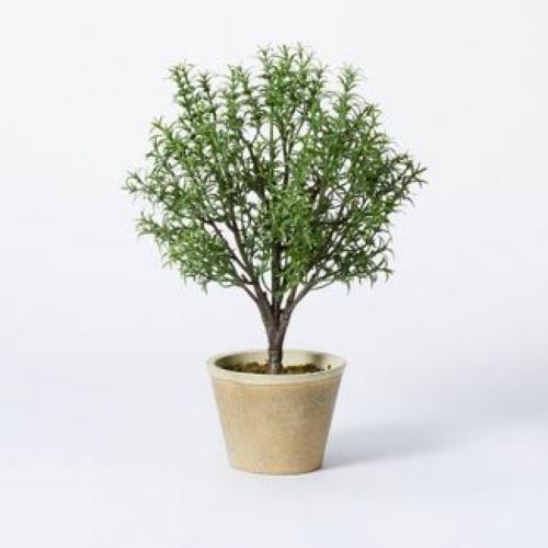 Rosemary Topiary - Threshold™ Designed With Studio Mcgee