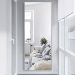 Neutypechic Wall Mounted Mirror- Sliver approx: 50x24x3.5