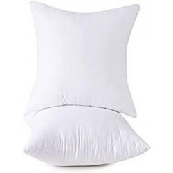 26x26 Pillows 2pk