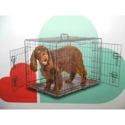 Two- Door Wire Collapsible Dog Crate - Medium - Black - Boots & Barkley