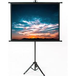 VIVO 50 inch Mini Portable Indoor Outdoor Projector Screen 50 inch