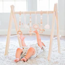 Wooden Hanging Toy for Baby