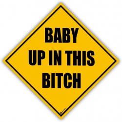 Zento Deals Magnetic Baby Up In This Bitch Car Sign