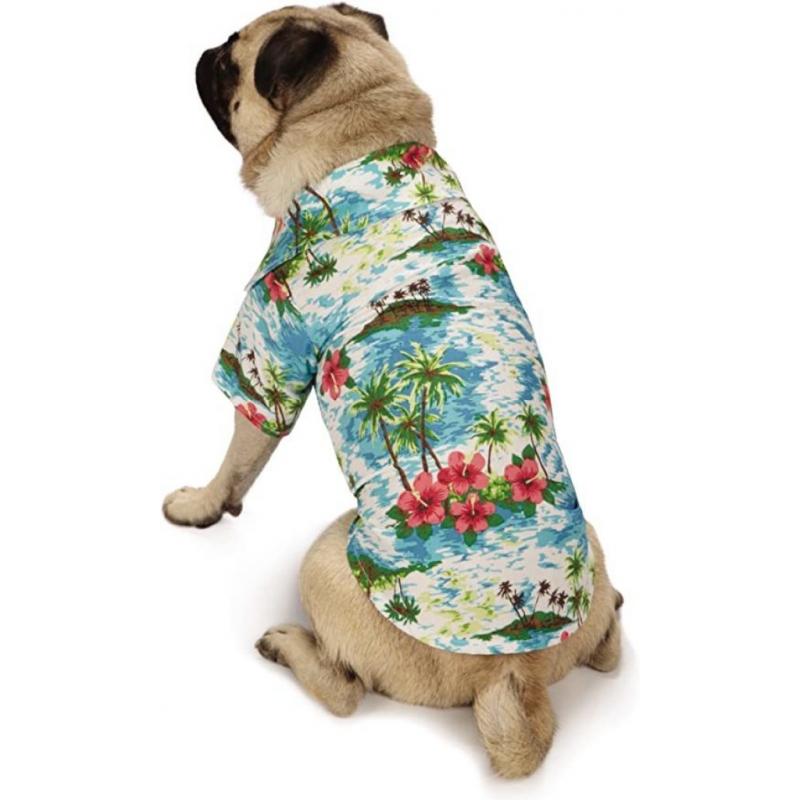 Casual Canine Shirt XL