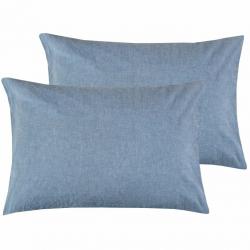 Delanna Two Standard Pillowcases 20 X 30, Blue Flannel