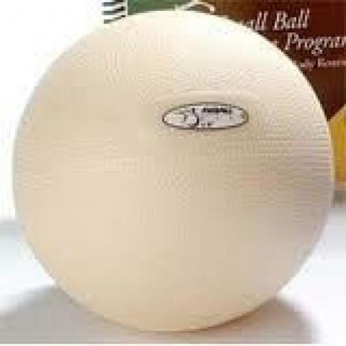 Fitball Body Therapy Ball - 6 Inches- Intermediate