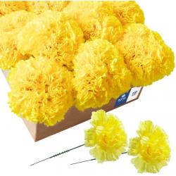 Royal Imports, 100 Yellow Silk Carnations