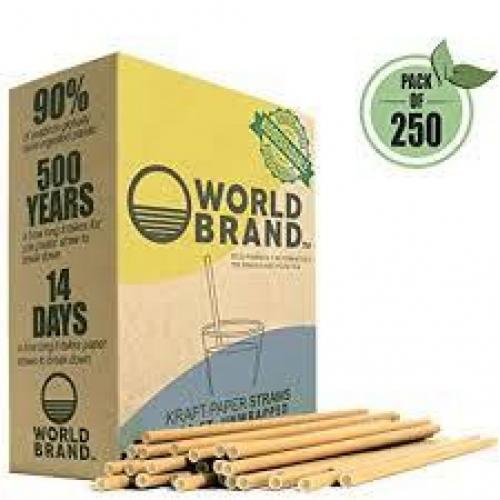 World Brand 250 Count Kraft Paper Straws
