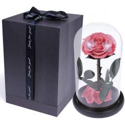 Beauty and the Beast Pink Flower - Sexybot