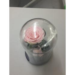 Beauty and the Beast Pink Flower - Sexybot