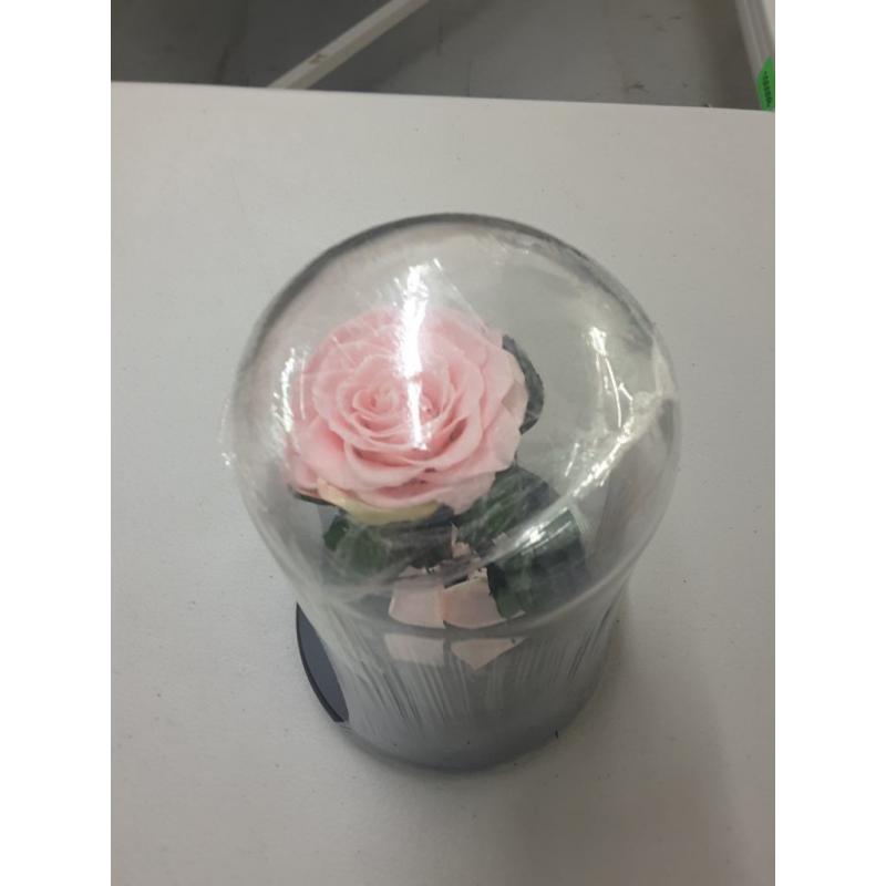 Beauty and the Beast Pink Flower - Sexybot