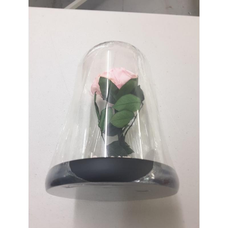 Beauty and the Beast Pink Flower - Sexybot