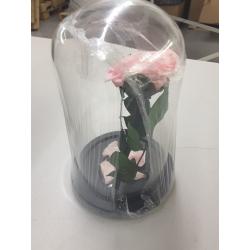 Beauty and the Beast Pink Flower - Sexybot