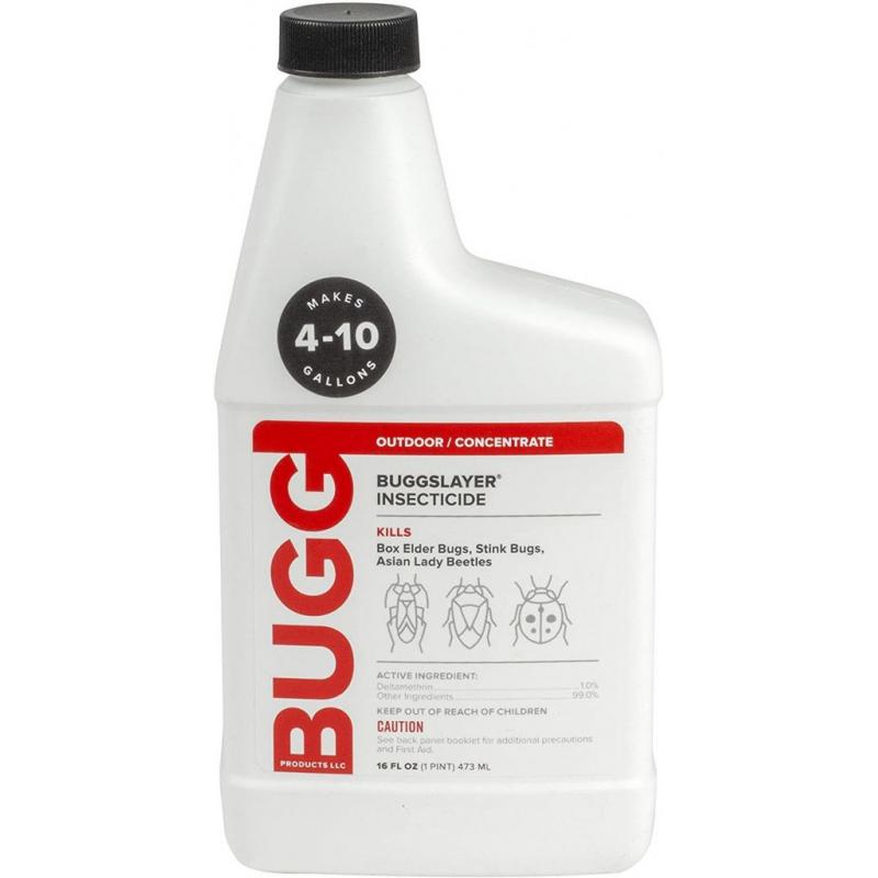 Buggslayer Insecticide - Outdoor/Concentrate